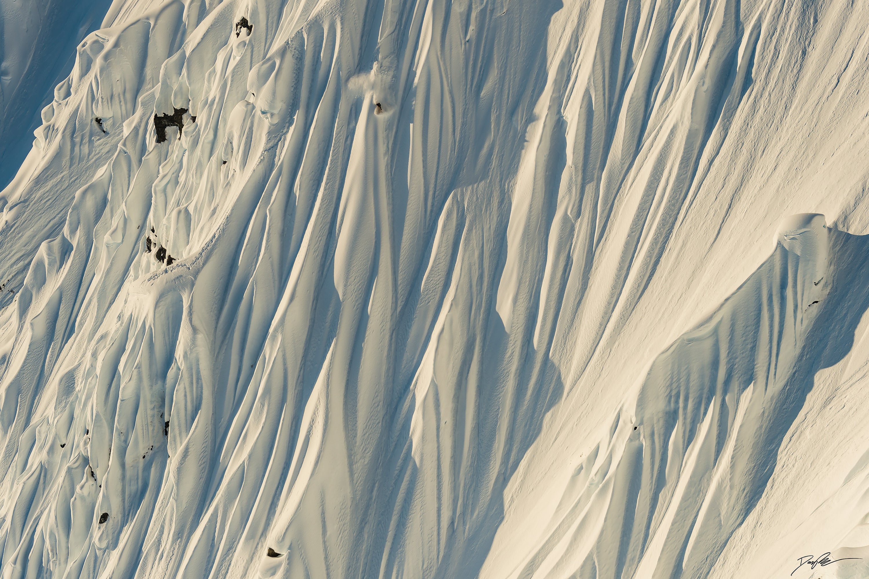 Dream Lines