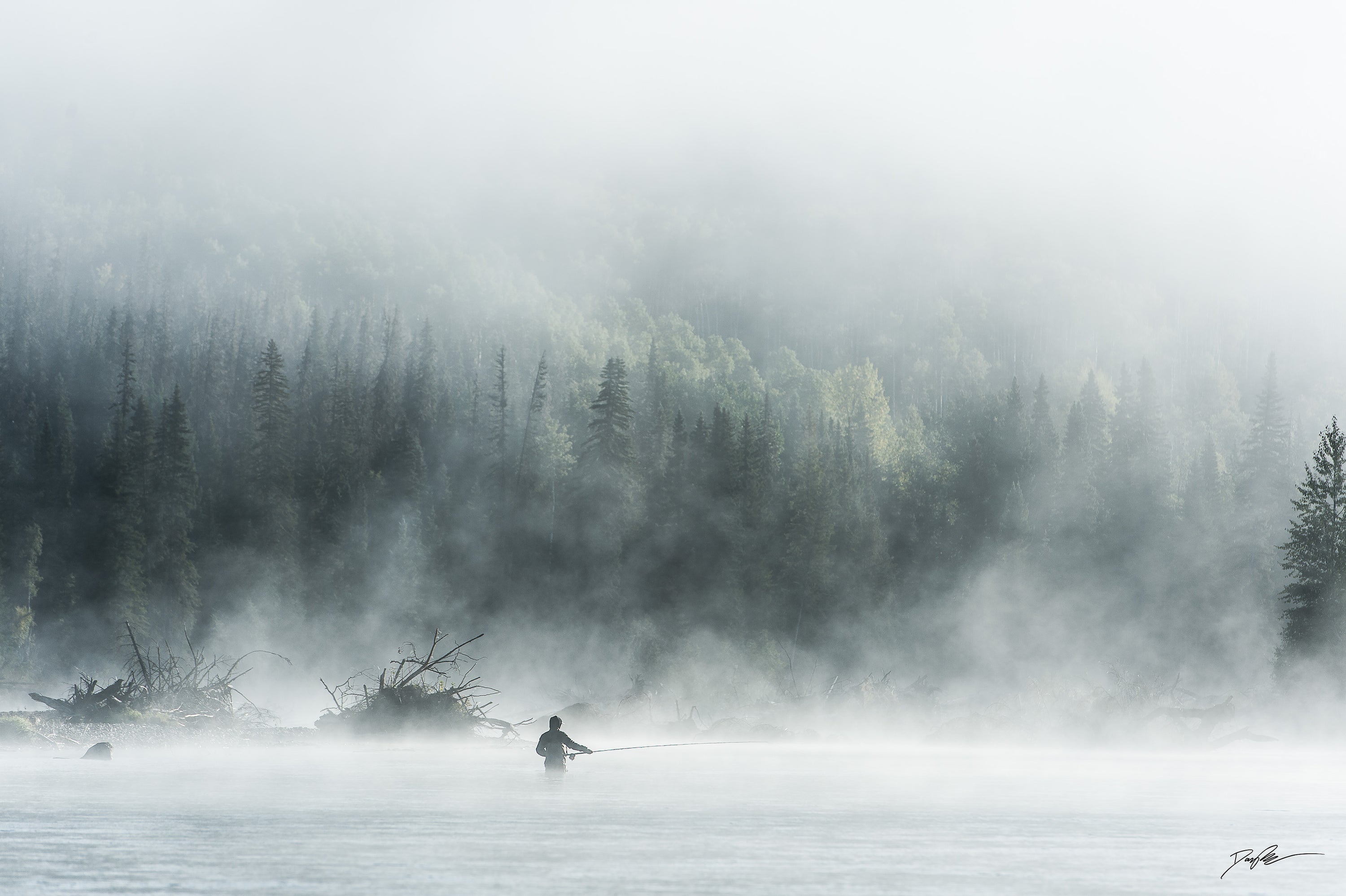 Northern Mist